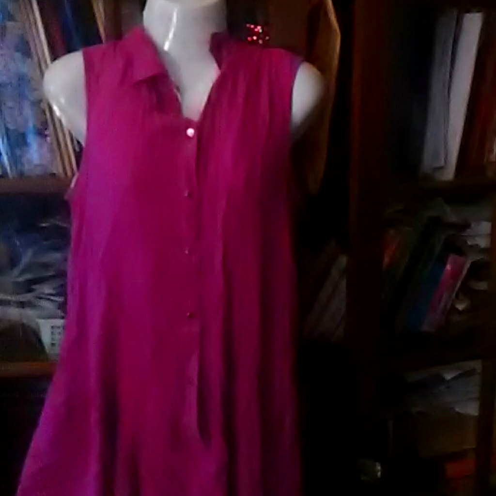 Ladys Button Down Top